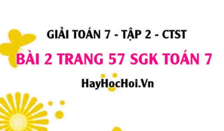 Giải bài 2 trang 57 Toán 7 tập 2 SGK Chân trời sáng tạo